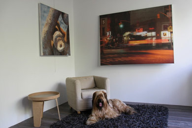 Réalisation d'un salon design.