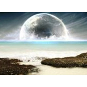 محمد القازنلي's photo