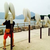 Will Yen's photo
