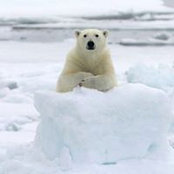 Lizi Chen's photo