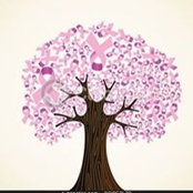 Tari Seitz's photo