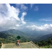 Momo Sh's photo