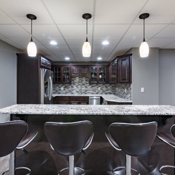Palatine Basement Remodel