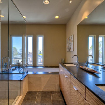 Contemporary Bathrooms