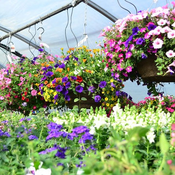 Annual Flower Gardens