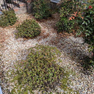 Garden Bed Cleanup