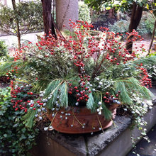 Winter containers