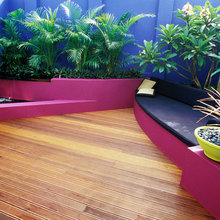 Landscape Ideas