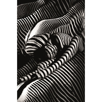 Contemporary Photographic Artwork | Andrew Martin Riding A Zebra, Medium