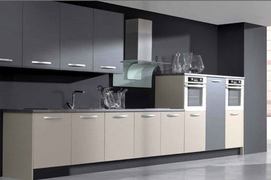 Contemporary Kitchen Cabinets
