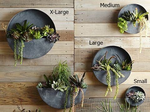 Orbea Circle Zinc Wall Planters