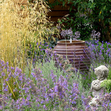 Backyard (fantasy time)