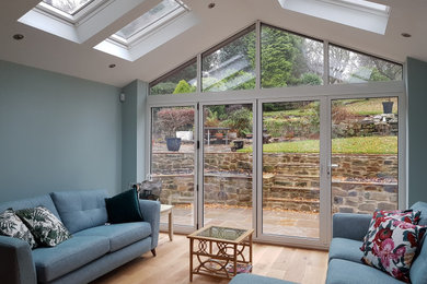 Photo of a medium sized traditional open plan living room in Other with blue walls, light hardwood flooring, no fireplace and no tv.