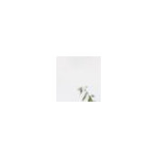 D McShea's photo