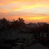 Rajan P's photo