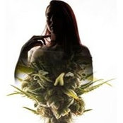 Chaya Hartman's photo