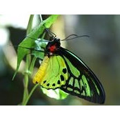 Eve Lyon's photo