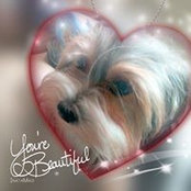 Cyndee Delk's photo