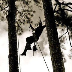 Spanner Tree & Shrub Care, Inc.