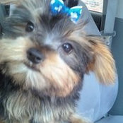 Jo-Ann Grenier's photo