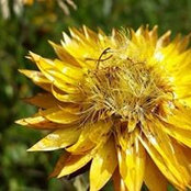 Julie Pearce's photo