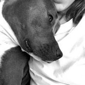 Alison Trivisonno's photo