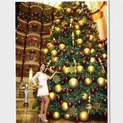 Lina Compoto's photo