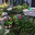 AJL Janssen Landscaping
