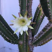 Foto von Lyn Hadrup