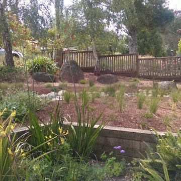 River Cobble Stream