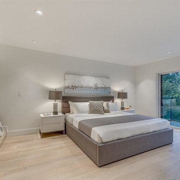 Master Bedroom - Contemporary