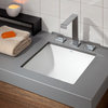 Cheviot Products Square Drop-In/Undermount Sink