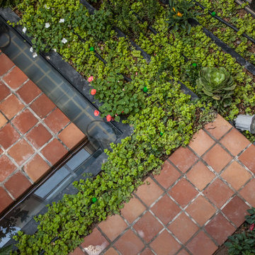 In search of lost " Yard"