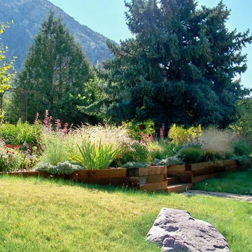 Urban Meadow
