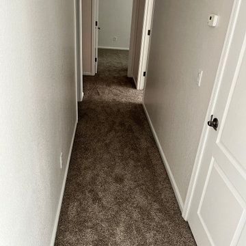 Whole Home Carpet Install: Dream Weaver Deep Thistle