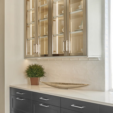 Edina MN Modern Kitchen