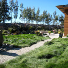 Landscape Ideas