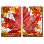 Ready2HangArt - Fall Ink XXII, Canvas Wall Art 2-Piece Canvas Art Set, 30" - Simple, yet effective is ?Fall Ink XXII?, a purely autumnal piece. An optimistic bright red alludes to the beauty and new beginning delight of fall. Handcrafted in the U.S.A., this gallery wrapped canvas art arrives ready to hang on your wall. Refine your space with an art piece from Ready2HangArt's ?Fall Ink? collection, which will effortlessly bring a warm essence of autumn to any style of decor.