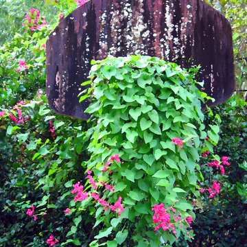 Miscellaneous Gardens and Pretty Things