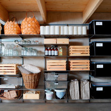 Basement Organization
