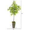 6' Lemon Artificial Tree, Olive Green Planter