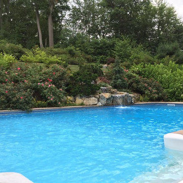 Lush Tranquility