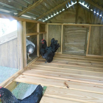 Yes, I can design a chicken coop!