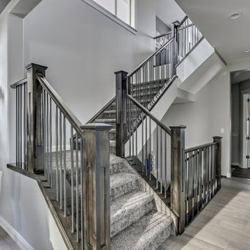 SHOW HOME I