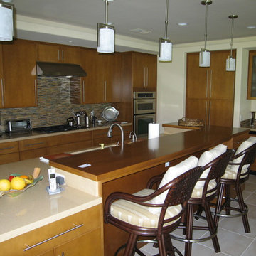 Alter residence (Remodel & addition - see web site)