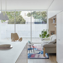 Privacy Screens