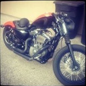 Stefan Babich's photo