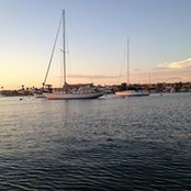 Antoinette Swartz's photo