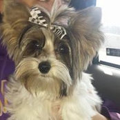 Foto von Star Crawford