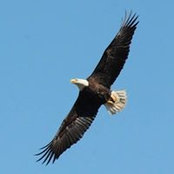 Christine Barner's photo